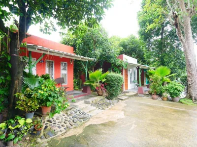 Forest Bungalows & Mama's Restaurant – 사진 4